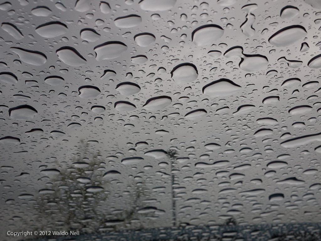 Pony Glass Roof