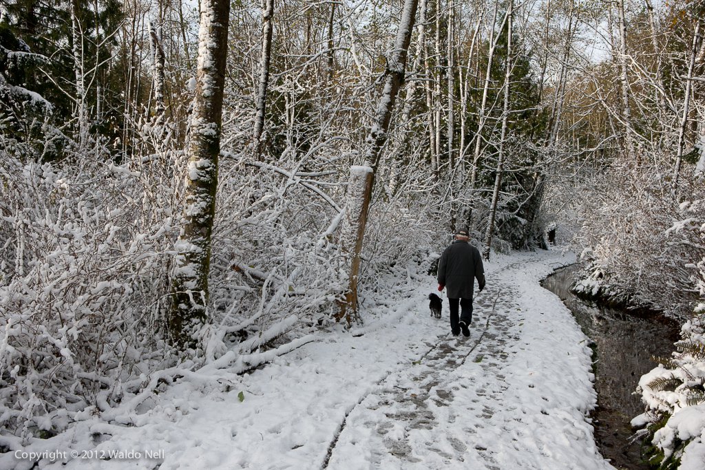 Snow Trail