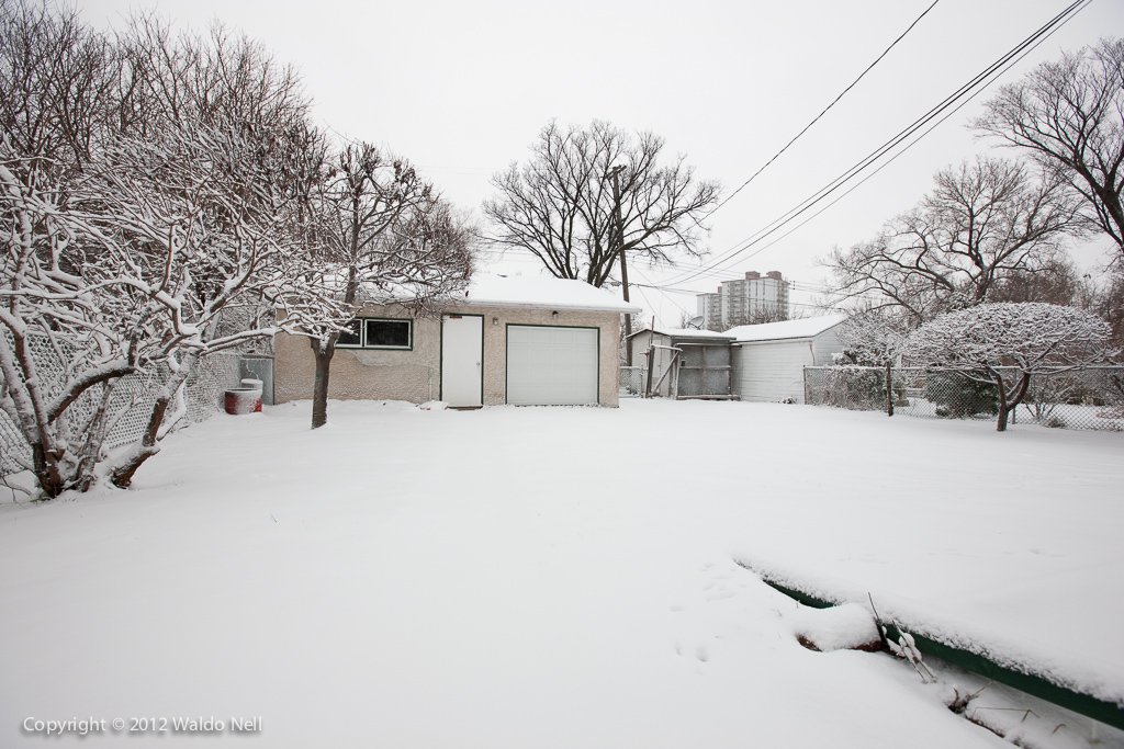 Snow covered backyard, 1Ds Mark III + 16-35mm F2.8 L