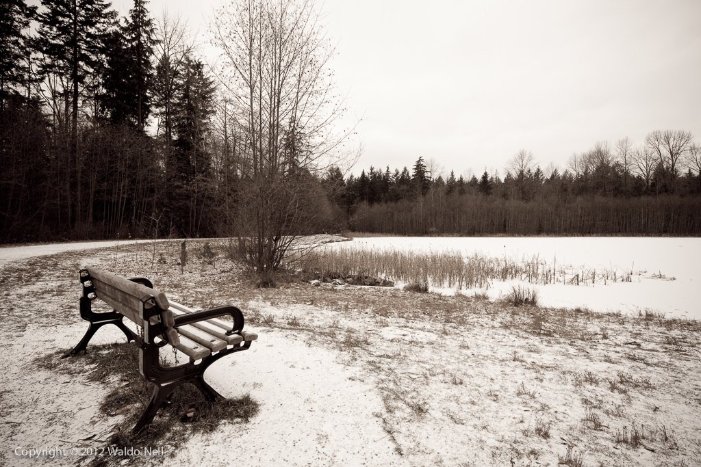 Snow on bench in Green Timbers Forest