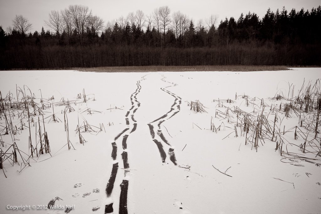 Snow trails on lake