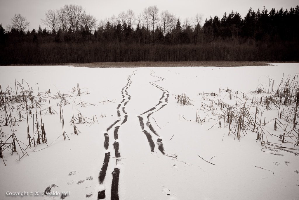 Snow trails on lake