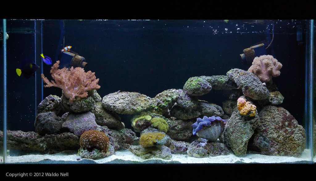 550l Tank - 30 July 2006