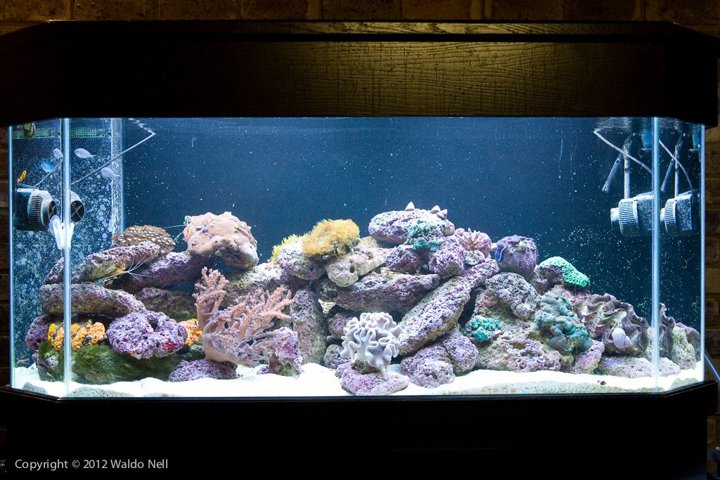 All 8 tubes on