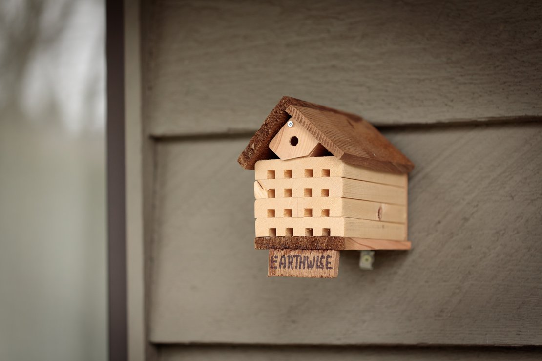 The Mason Bee House