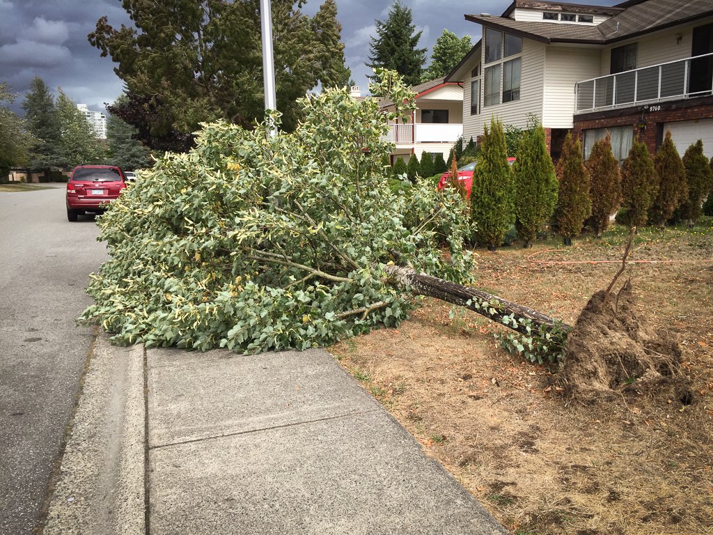 Vancouver, BC Storm 2015