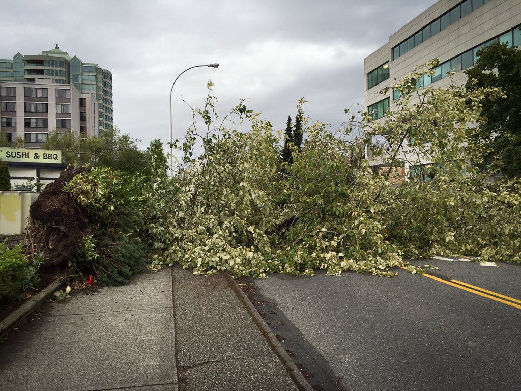 Vancouver, BC Storm 2015