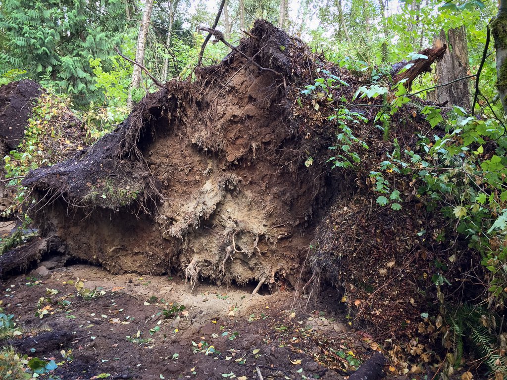 Vancouver, BC Storm 2015