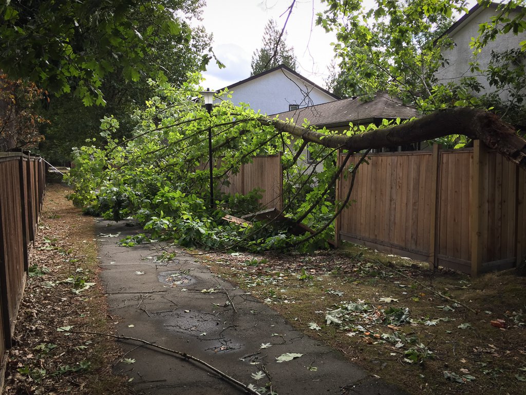 Vancouver, BC Storm 2015