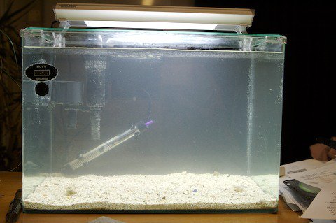 Sand in Tank