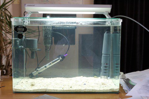 Sand in Tank - Water Cleared