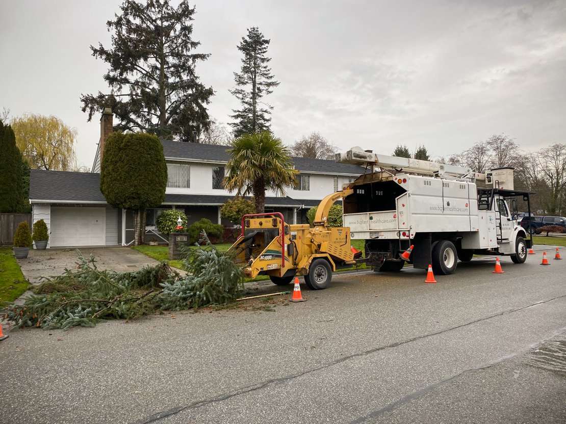 BC Plant Care - note the URL on the truck