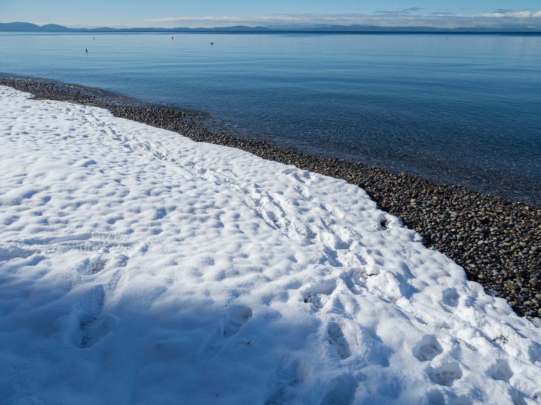 Snow and Sea