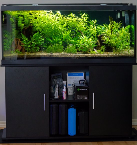 75g Planted Tropical